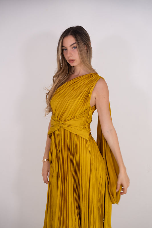 Golden Ruffled Dress